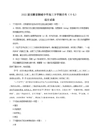 2022届安徽省桐城中学高三下学期月考（十七）语文试卷含答案