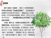 《江城子·乙卯正月二十日夜记梦》课件统编版高中语文选择性必修上册
