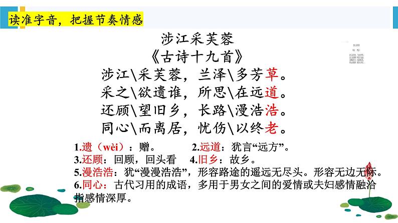 古诗词诵读《涉江采芙蓉》课件 2022-2023学年统编版高中语文必修上册03