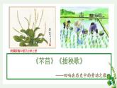 6.《芣苢》《插秧歌》对比阅读课件 2022-2023学年统编版高中语文必修上册