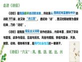 6.《芣苢》《插秧歌》对比阅读课件 2022-2023学年统编版高中语文必修上册
