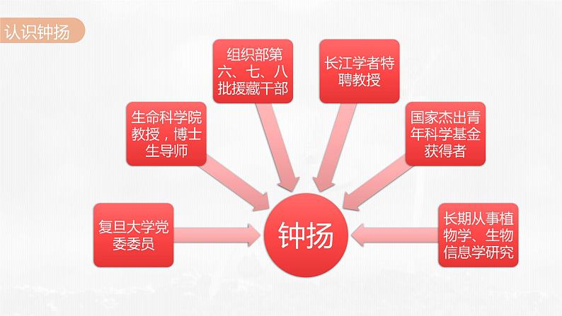 4-3《“探界者”钟扬》课件 2022-2023学年统编版高中语文必修上册第5页