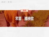 6 《芣苢》《插秧歌》对比阅读课件 2022-2023学年统编版高中语文必修上册