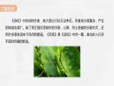 6 《芣苢》《插秧歌》对比阅读课件 2022-2023学年统编版高中语文必修上册