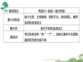 高考语文复习--辨析并修改病句（快速诊断并精准修改病句）课件PPT