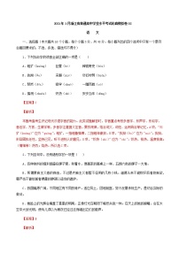 2021年1月浙江省普通高中学业水平考试语文仿真模拟卷02（解析版） (1)