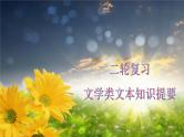 高考语文复习--  文学类文本知识提要（课件）