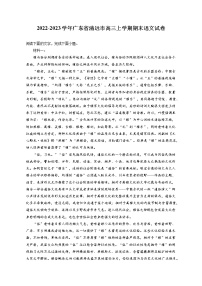 2022-2023学年广东省清远市高三上学期期末语文试卷（含答案解析）