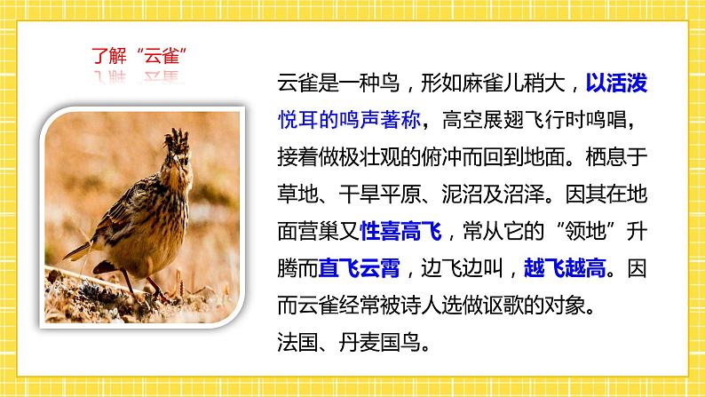 2.4《致云雀》课件08