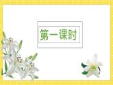 3.1《百合花》课件