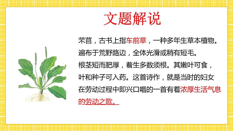 高中语文统编版必修上册6.1《 芣苢 》课件第4页