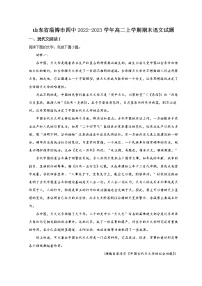 2023淄博四中高二上学期期末学情自测语文试题含解析