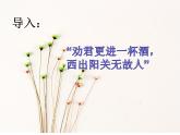 6.2《再别康桥》课件 2022-2023学年统编版高中语文选择性必修下册