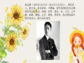 6.2《再别康桥》课件2022-2023学年统编版高中语文选择性必修下册