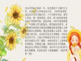 6.2《再别康桥》课件2022-2023学年统编版高中语文选择性必修下册