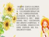 6.2《再别康桥》课件2022-2023学年统编版高中语文选择性必修下册