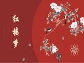2023-2024学年统编版高中语文下册《红楼梦》阅读 课件