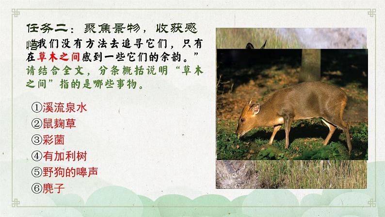 7.1《一个消逝了的山村》课件2022-2023学年统编版高中语文选择性必修下册第6页