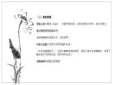 归去来兮辞优质课件
