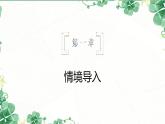 1.3《百合花》课件PPT