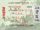 6《芣苢》《插秧歌》课件 2022-2023学年统编版高中语文必修上册