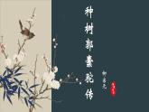 11.《种树郭橐驼传》课件2022-2023学年统编版高中语文选择性必修下册