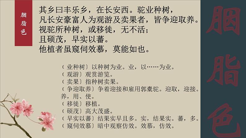 11.《种树郭橐驼传》课件2022-2023学年统编版高中语文选择性必修下册08