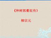 理解性默写之《种树郭橐驼传》《石钟山记》2022-2023学年统编版课件PPT