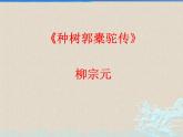 理解性默写之《种树郭橐驼传》《石钟山记》2022-2023学年统编版课件PPT