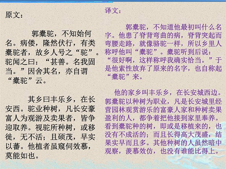 理解性默写之《种树郭橐驼传》《石钟山记》2022-2023学年统编版课件PPT第3页