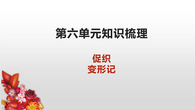 知识梳理10（PPT）-2022-2023学年高一语文下学期期末专项复习（统编版必修下册）第1页