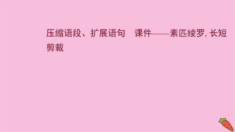 新高考语文第13讲 压缩语段、扩展语句  课件练习题01