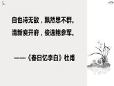部编版高中语文选修下册古诗词诵读《拟行路难》公开课示范课同步教学课件PPT