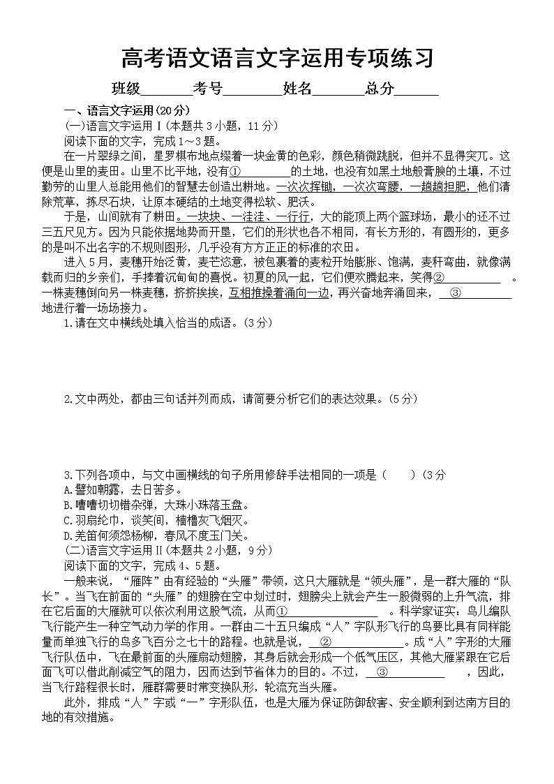 高中语文高考复习语言文字运用专项练习10（附参考答案和解析）01