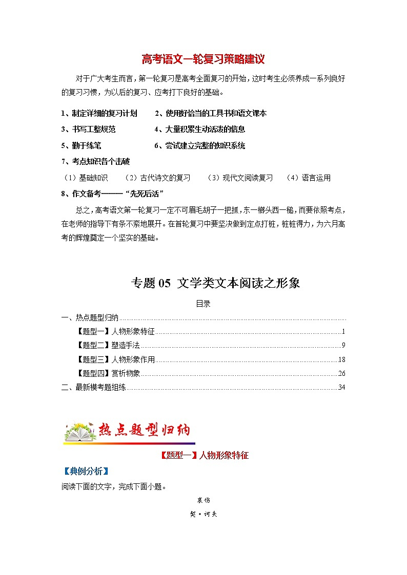 专题05 文学类文本阅读之形象（教师版）第1页