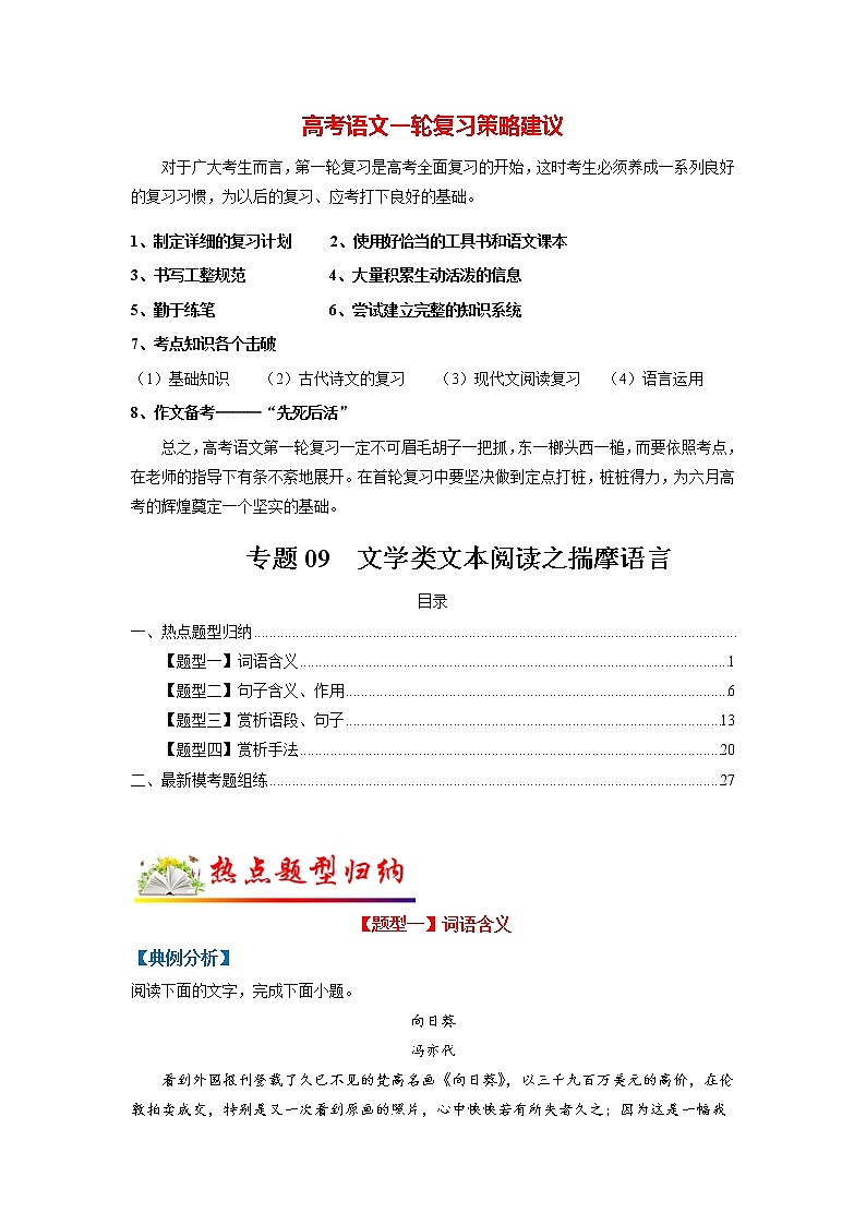 专题09 文学类文本阅读之揣摩语言（学生版）第1页