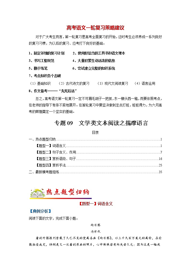 专题09 文学类文本阅读之揣摩语言（教师版）第1页