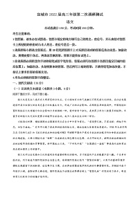 2022宣城高三下学期第二次调研考试语文试题含解析