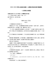 2022-2023学年云南省区域高二上册语文期末试卷专题训练—文学类文本阅读（含解析）