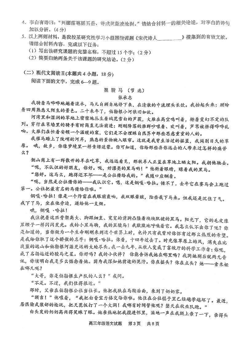 2023湖北省华中师范大学第一附中高三第二次学业检测语文试题PDF无答案03