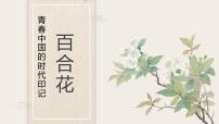 语文必修 上册第一单元3 （百合花 *哦，香雪）3.1 百合花图片ppt课件