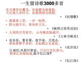 《琵琶行（并序）》课件2022-2023学年统编版高中语文必修上册