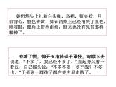 5.1《 阿Q正传（节选）》课件 2022-2023学年高中语文统编版选择性必修下册