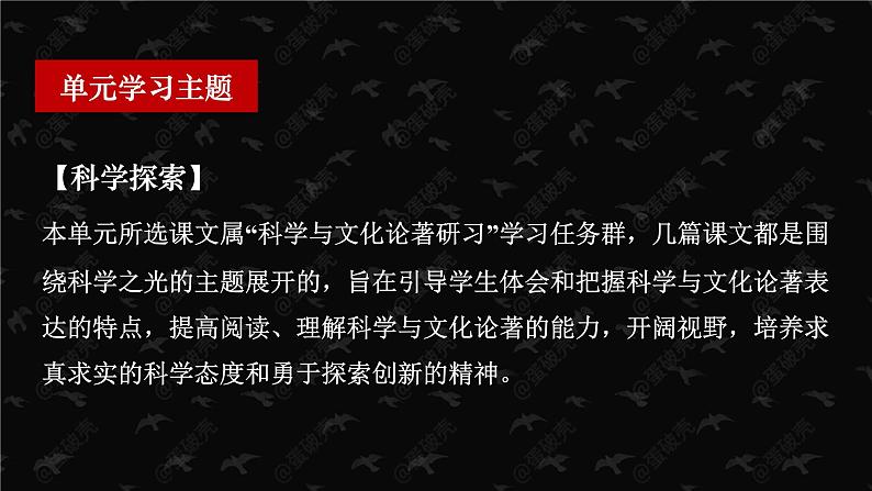 13.1《自然选择的证明》课件 2022-2023学年统编版高中语文选择性必修下册02