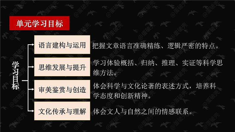 13.1《自然选择的证明》课件 2022-2023学年统编版高中语文选择性必修下册03