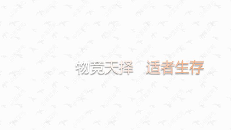 13.1《自然选择的证明》课件 2022-2023学年统编版高中语文选择性必修下册04