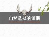 13.1《自然选择的证明》课件 2022-2023学年统编版高中语文选择性必修下册