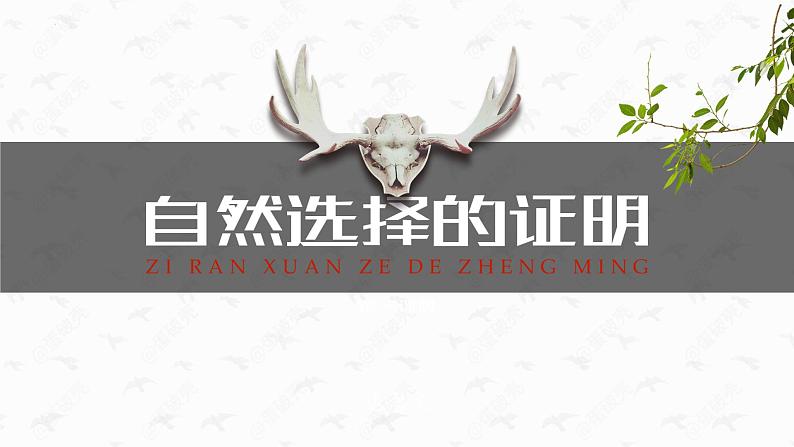 13.1《自然选择的证明》课件 2022-2023学年统编版高中语文选择性必修下册05