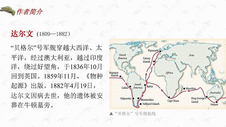 13.1《自然选择的证明》课件 2022-2023学年统编版高中语文选择性必修下册08