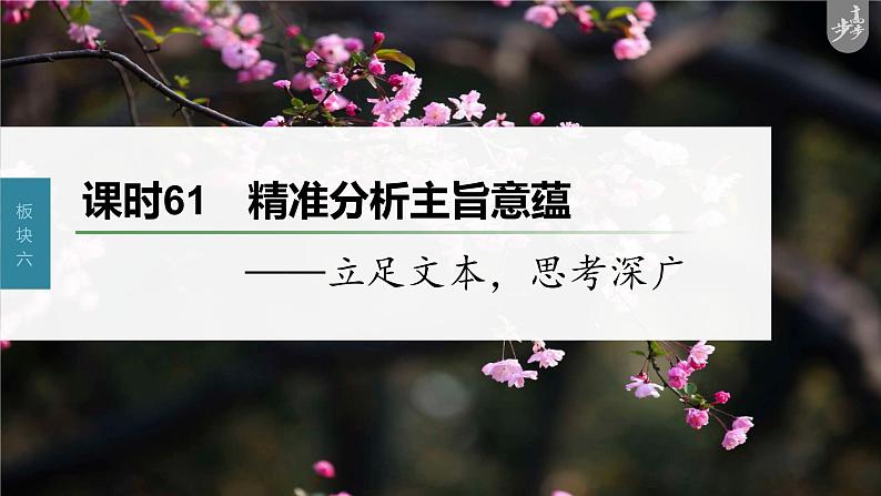 新教材新高考版语文一轮复习课件  第7部分 小说阅读  课时61　精准分析主旨意蕴——立足文本，思考深广05